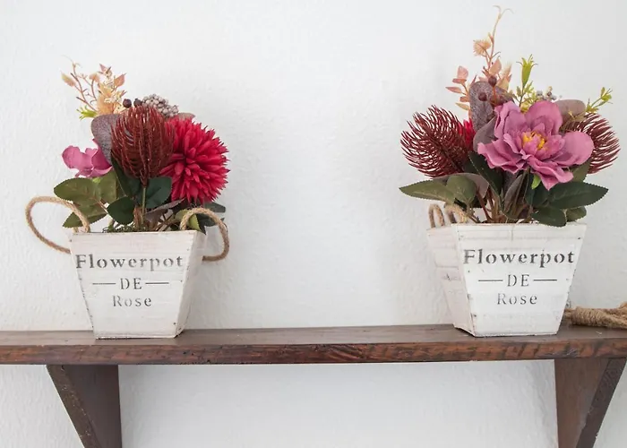 Apartment Apartamento Atlantico 4